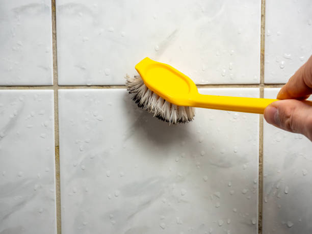Best Best Mold Removal Companies  in Chevy Chase View, MD