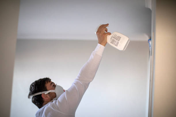 Best Attic Mold Removal  in Chevy Chase View, MD