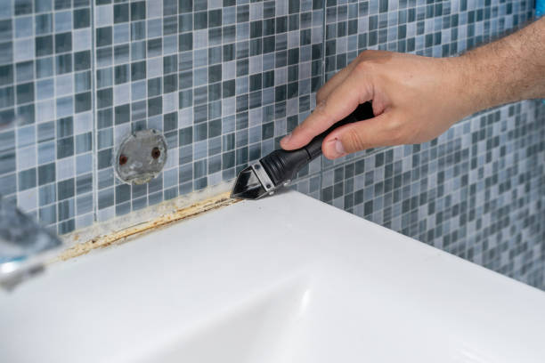 Best Fast Mold Removal  in Chevy Chase View, MD