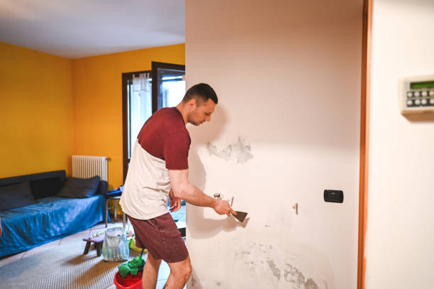 Best Affordable Mold Removal  in Chevy Chase View, MD